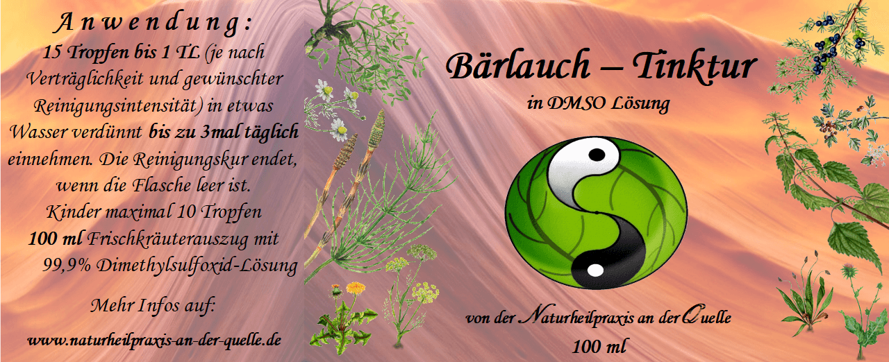 Galeriebild