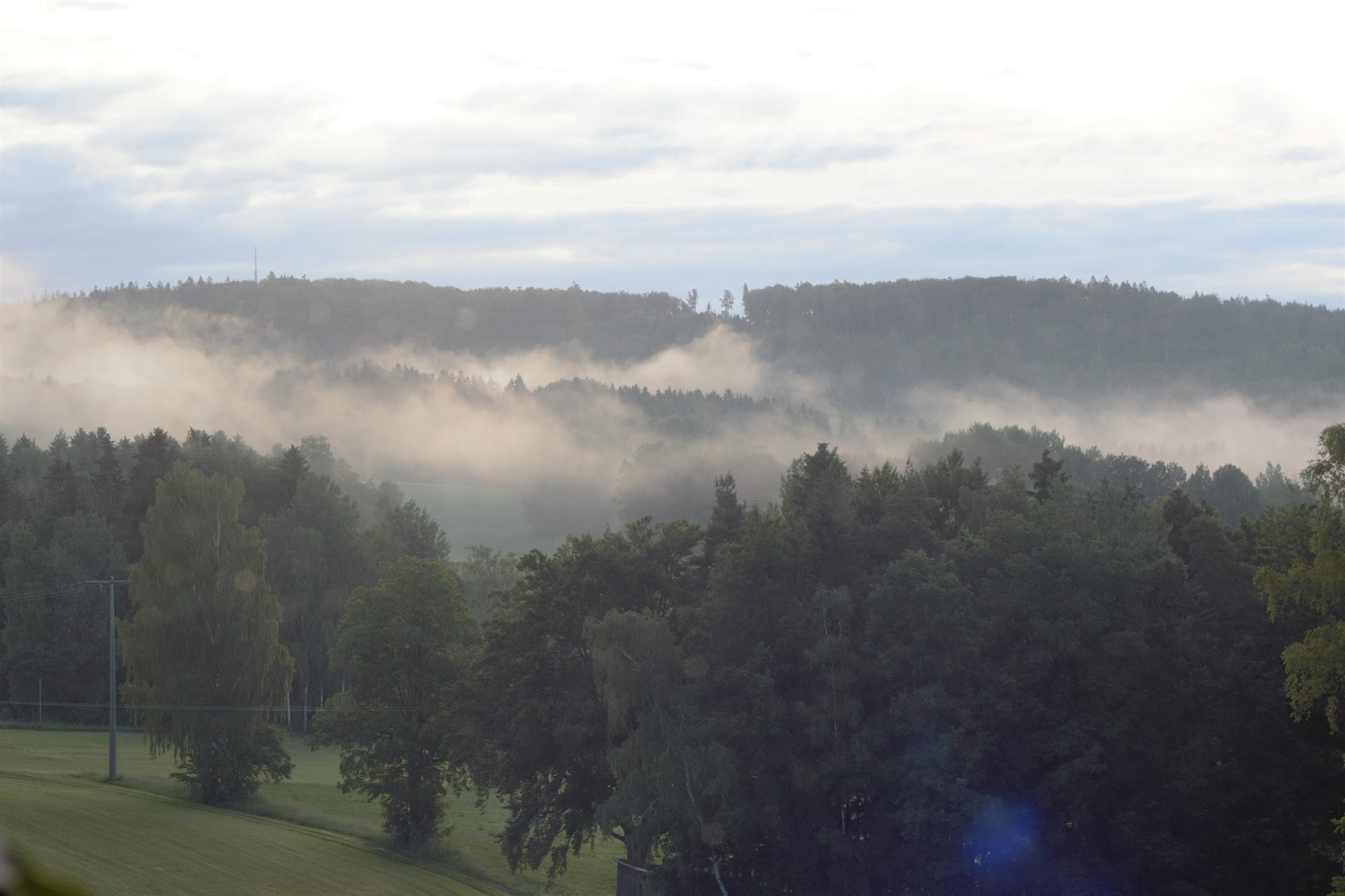 Banner des Verkäufers