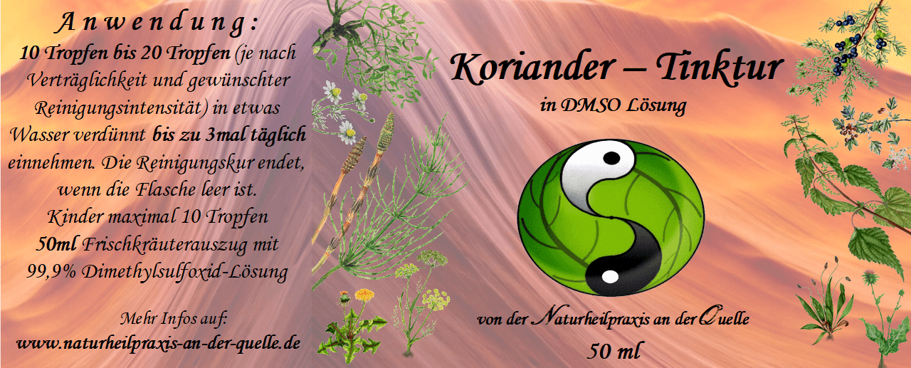 Galeriebild