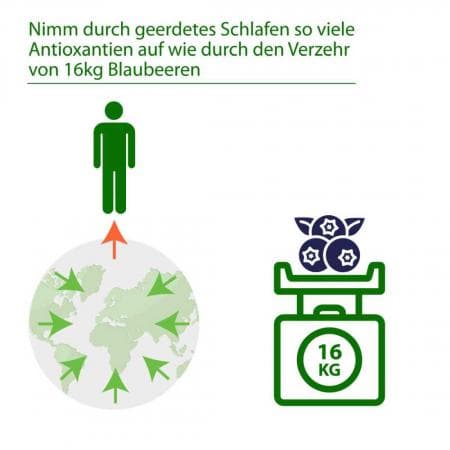 Galeriebild