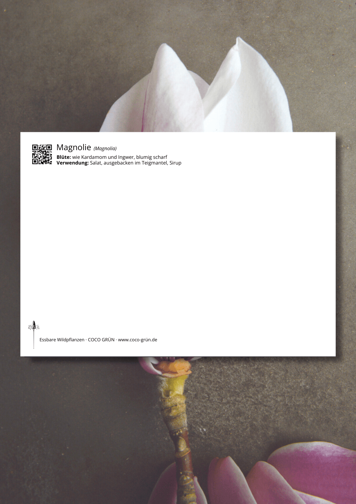 Galeriebild